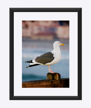 Load image into Gallery viewer, "A Bird's Eye View" Matted Fine Art Print