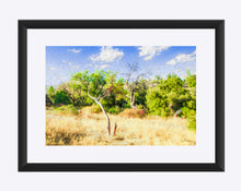 Load image into Gallery viewer, &quot;A Place of Serenity 3&quot; Matted Fine Art Print