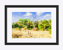 Load image into Gallery viewer, "A Place of Serenity 3" Matted Fine Art Print