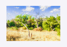 Load image into Gallery viewer, "A Place of Serenity 3" Matted Fine Art Print