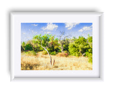 Load image into Gallery viewer, "A Place of Serenity 3" Matted Fine Art Print