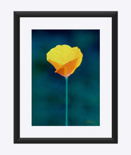 Load image into Gallery viewer, "California Poppy 1" Matted Fine Art Print