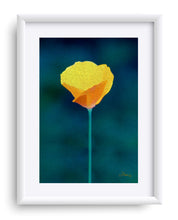 Load image into Gallery viewer, &quot;California Poppy 1&quot; Matted Fine Art Print