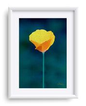 Load image into Gallery viewer, "California Poppy 1" Matted Fine Art Print