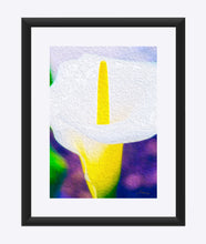 Load image into Gallery viewer, &quot;Calla Lily Blossom&quot; Matted Fine Art Print