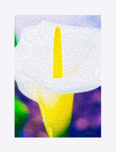 Load image into Gallery viewer, "Calla Lily Blossom" Matted Fine Art Print