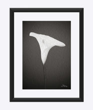 Load image into Gallery viewer, "Emerging Light of the Lily" Matted Fine Art Print