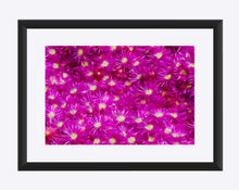 Load image into Gallery viewer, "Hostile Takeover" Matted Fine Art Print