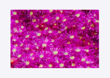 Load image into Gallery viewer, "Hostile Takeover" Matted Fine Art Print