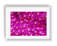 Load image into Gallery viewer, "Hostile Takeover" Matted Fine Art Print