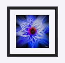 Load image into Gallery viewer, "Magnificent Wonder 1" Matted Fine Art Print