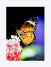 Load image into Gallery viewer, "Malay Lacewing Butterfly 1" Matted Fine Art Print