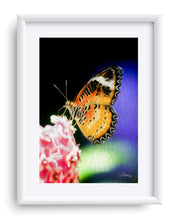 Load image into Gallery viewer, "Malay Lacewing Butterfly 1" Matted Fine Art Print