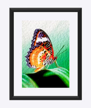 Load image into Gallery viewer, "Malay Lacewing Butterfly 2" Matted Fine Art Print