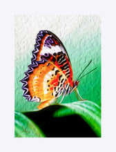 Load image into Gallery viewer, "Malay Lacewing Butterfly 2" Matted Fine Art Print