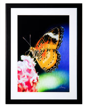 Load image into Gallery viewer, "Malay Lacewing Butterfly 1" Framed Gallery Expression