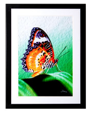 Load image into Gallery viewer, "Malay Lacewing Butterfly 2" Framed Gallery Expression