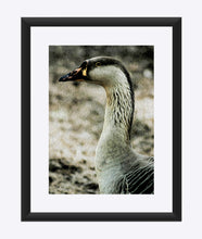 Load image into Gallery viewer, "My Good Side" Matted Fine Art Print