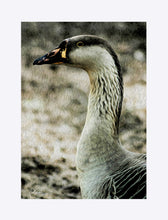 Load image into Gallery viewer, "My Good Side" Matted Fine Art Print