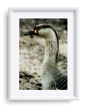 Load image into Gallery viewer, "My Good Side" Matted Fine Art Print