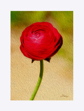 Load image into Gallery viewer, "Rosy Prominence 1" Matted Fine Art Print
