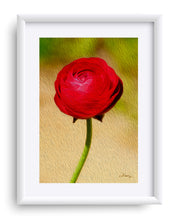 Load image into Gallery viewer, "Rosy Prominence 1" Matted Fine Art Print