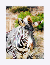 Load image into Gallery viewer, "Zebra 1" Matted Fine Art Print