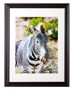 "Zebra 1" Framed Gallery Expression