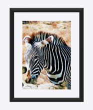 Load image into Gallery viewer, "Zebra 2" Matted Fine Art Print