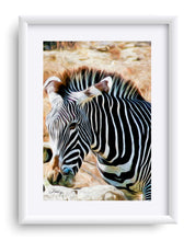Load image into Gallery viewer, "Zebra 2" Matted Fine Art Print