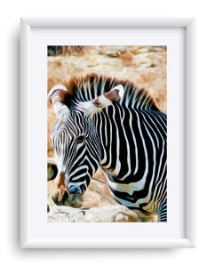 "Zebra 2" Matted Fine Art Print