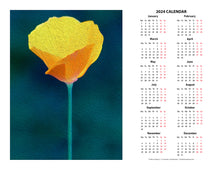 Load image into Gallery viewer, &quot;California Poppy 1&quot; 17x22 inch 2024 Fine Art Calendar