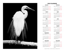 Load image into Gallery viewer, &quot;Great Egret in Full Bloom 1&quot; 17x22 inch 2024 Fine Art Calendar