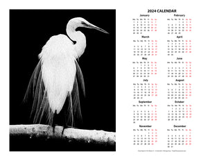 "Great Egret in Full Bloom 1" 17x22 inch 2024 Fine Art Calendar