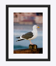 Load image into Gallery viewer, &quot;A Bird&#39;s Eye View&quot; Matted Fine Art Print