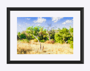 "A Place of Serenity 3" Matted Fine Art Print