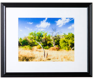 "A Place of Serenity 3" Framed Gallery Expression