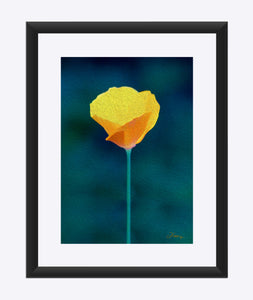 "California Poppy 1" Matted Fine Art Print