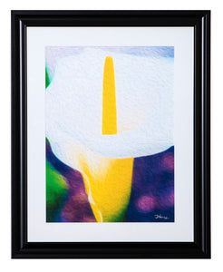 "Calla Lily Blossom" Framed Gallery Expression