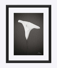 Load image into Gallery viewer, &quot;Emerging Light of the Lily&quot; Matted Fine Art Print