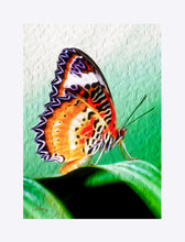 Load image into Gallery viewer, &quot;Malay Lacewing Butterfly 2&quot; Matted Fine Art Print
