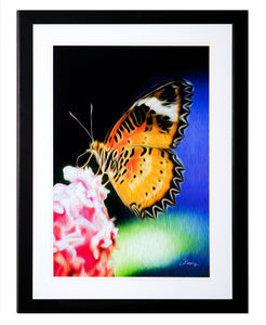 "Malay Lacewing Butterfly 1" Framed Gallery Expression