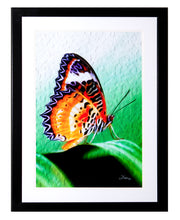 Load image into Gallery viewer, &quot;Malay Lacewing Butterfly 2&quot; Framed Gallery Expression