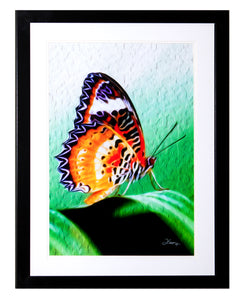 "Malay Lacewing Butterfly 2" Framed Gallery Expression