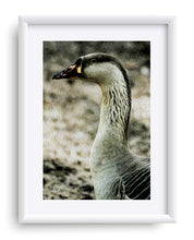 Load image into Gallery viewer, &quot;My Good Side&quot; Matted Fine Art Print