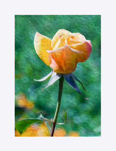 "Rosy Prominence 2" Matted Fine Art Print