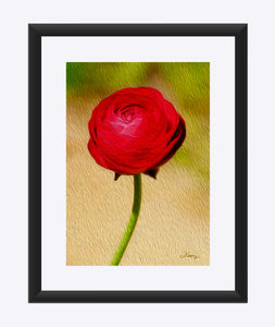 "Rosy Prominence 1" Matted Fine Art Print