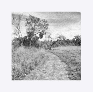 "The Path That Lies Ahead - BW" Matted Fine Art Print