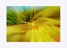 Load image into Gallery viewer, &quot;Whimsical Twirl&quot; Matted Fine Art Print