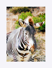 Load image into Gallery viewer, &quot;Zebra 1&quot; Matted Fine Art Print